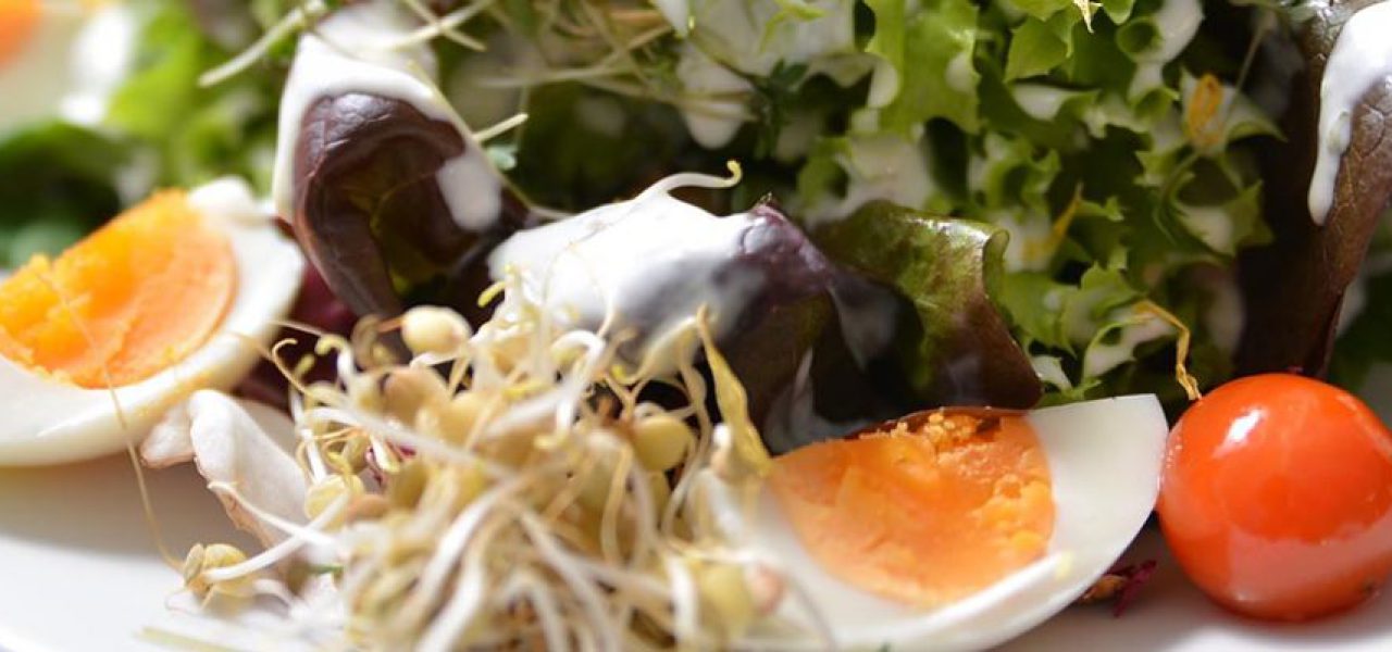 Fischer Salat im Restaurant Stadthalle Eschwege